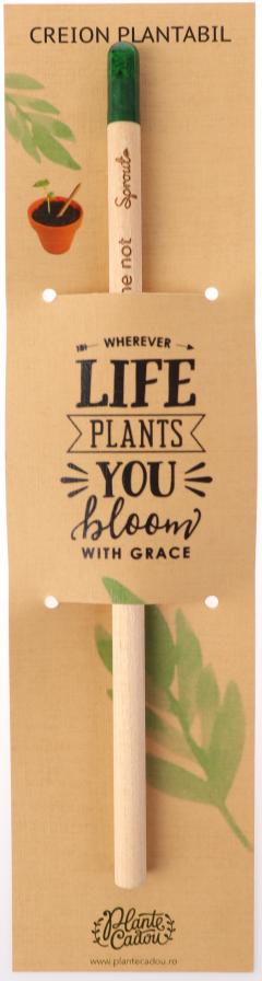 Creion plantabil