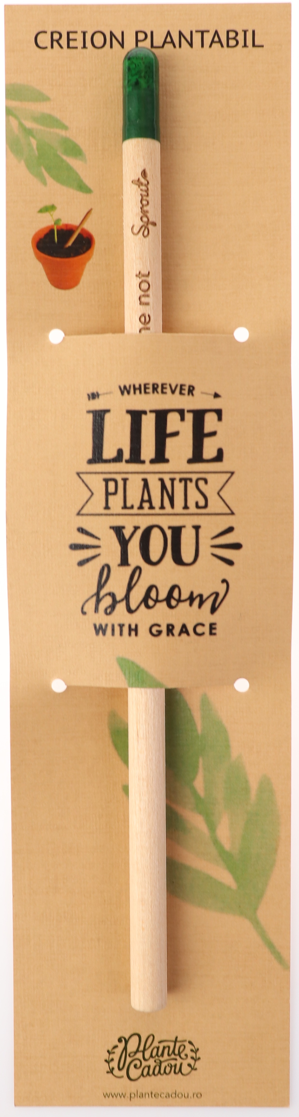 Creion plantabil