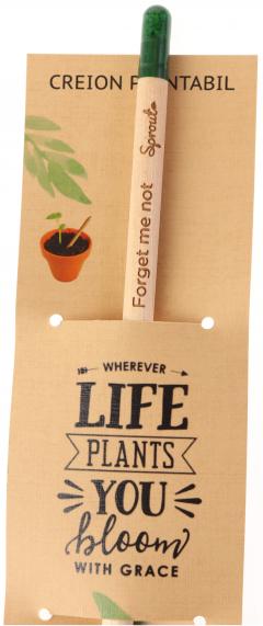 Creion plantabil thumbnail
