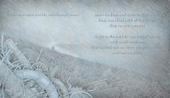 The Tin Forest thumbnail