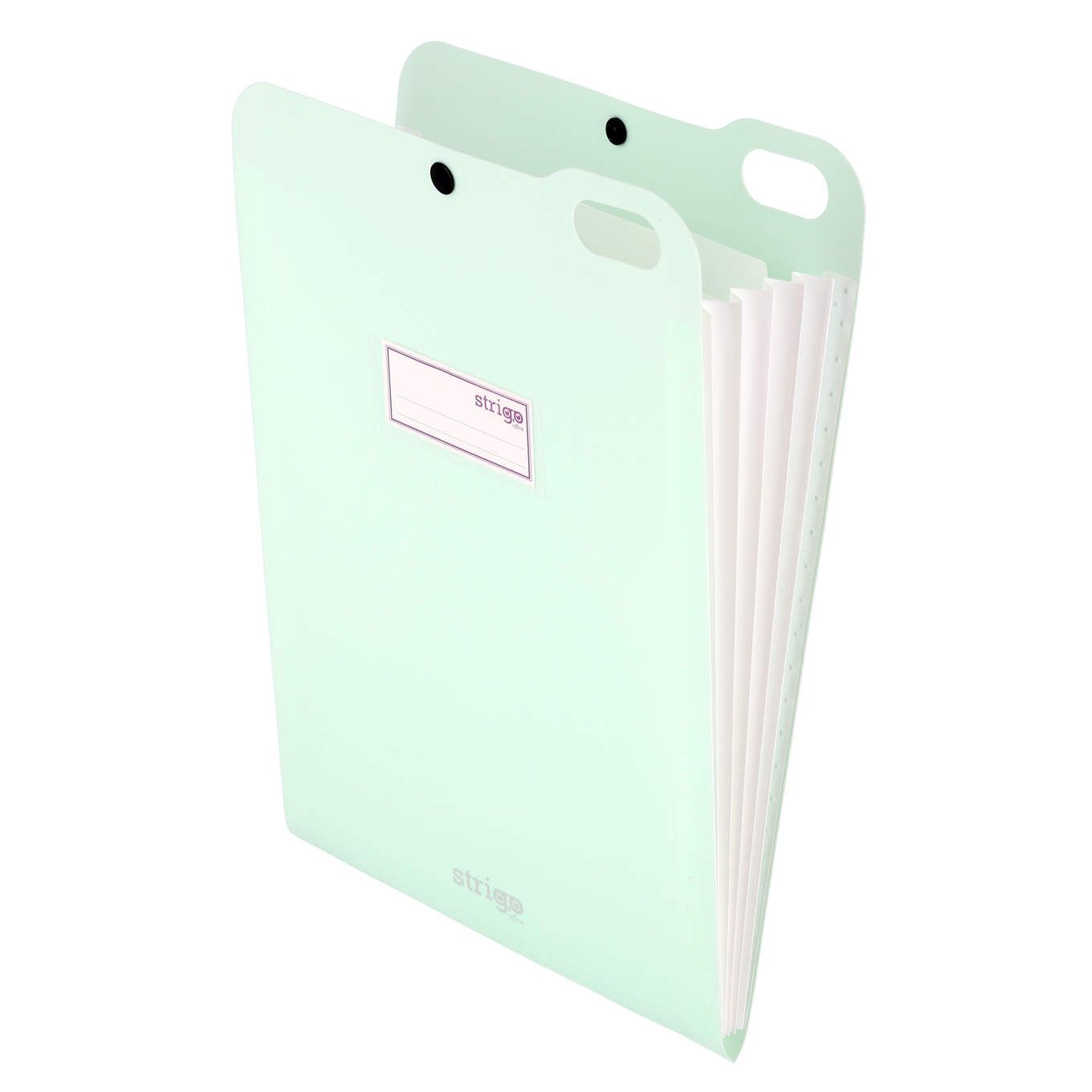 Organizator A4 Strigo, cu 5 separatoare - Verde deschis
