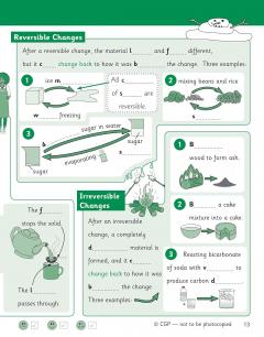 Knowledge Organiser Science Year 5 thumbnail