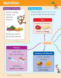 Knowledge Organiser Science Year 3 thumbnail