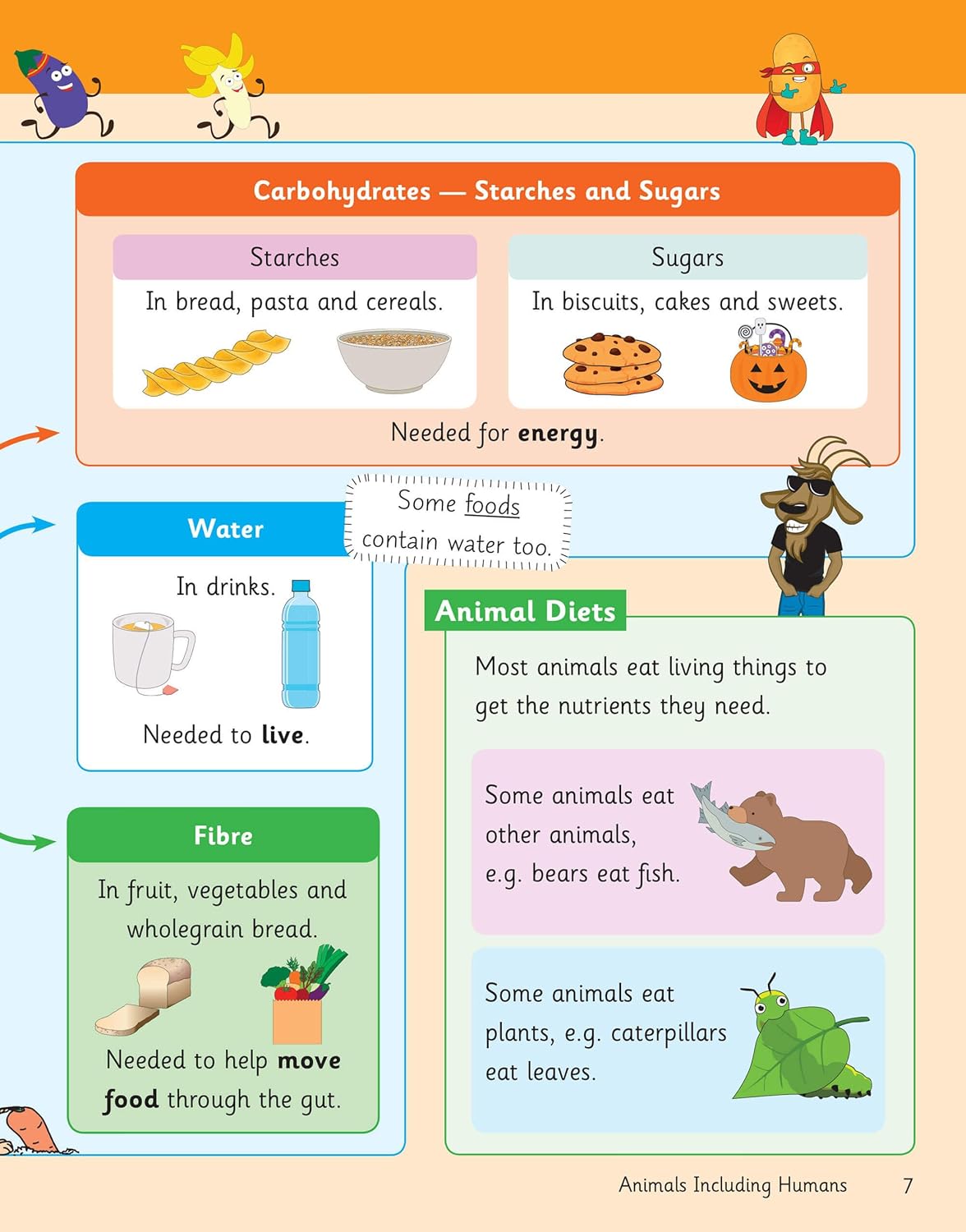 Knowledge Organiser Science Year 3