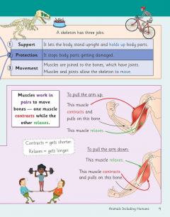 Knowledge Organiser Science Year 3 thumbnail