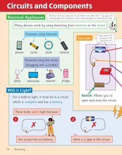 Knowledge Organiser Science Year 4 thumbnail