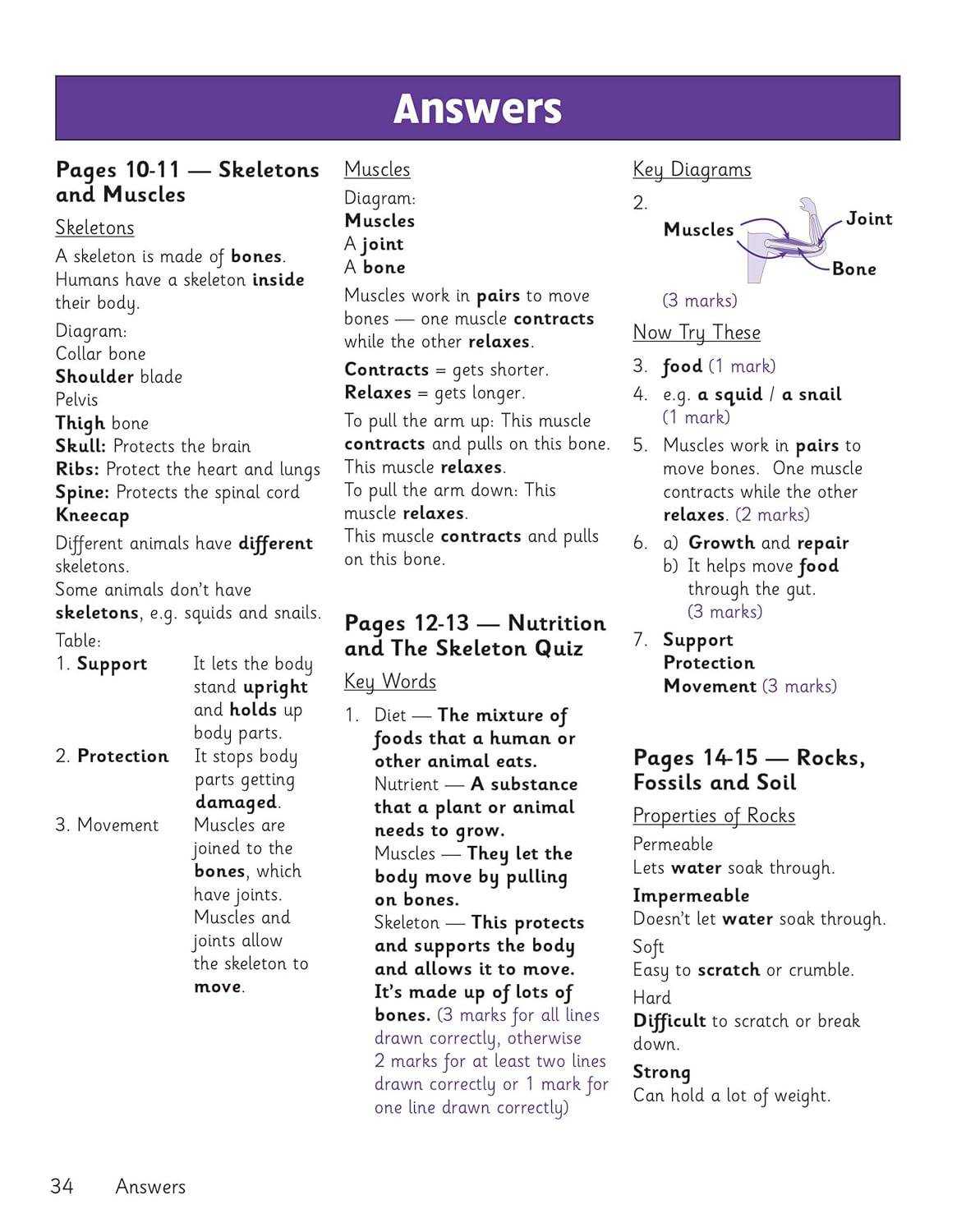 Science Knowledge Retriever - Year 3