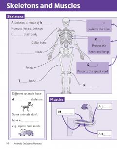Science Knowledge Retriever - Year 3 thumbnail