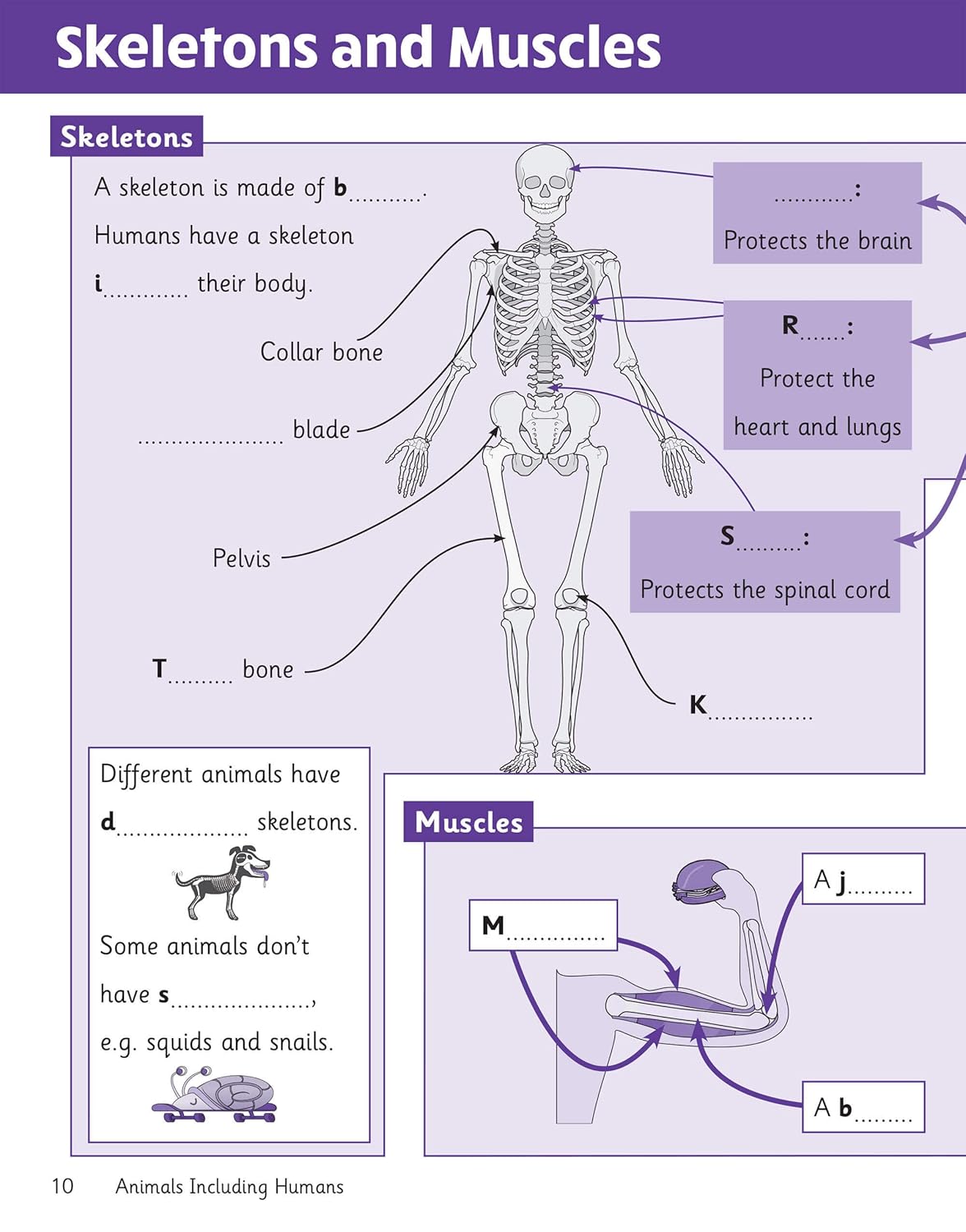 Science Knowledge Retriever - Year 3