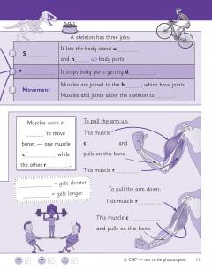 Science Knowledge Retriever - Year 3 thumbnail