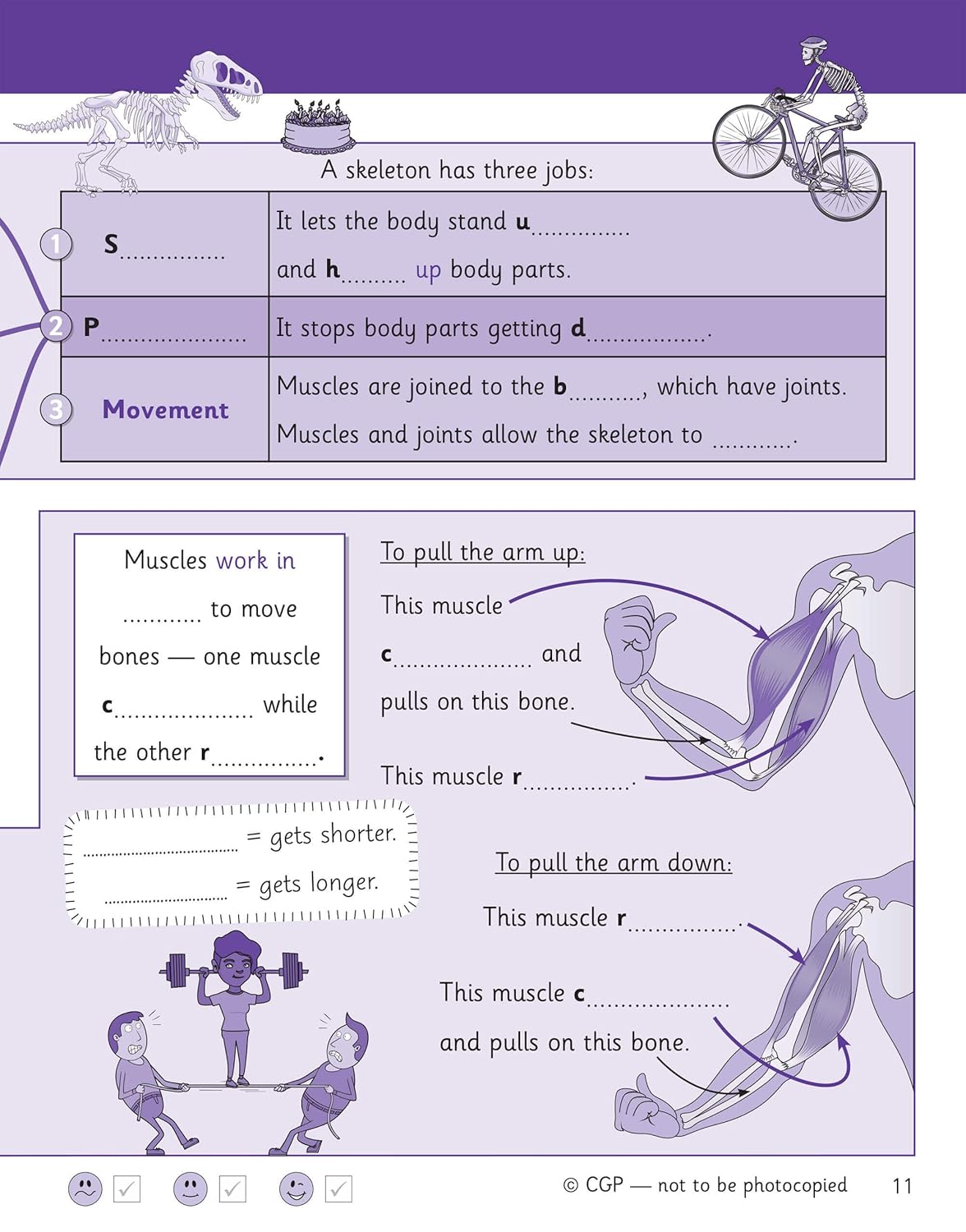Science Knowledge Retriever - Year 3