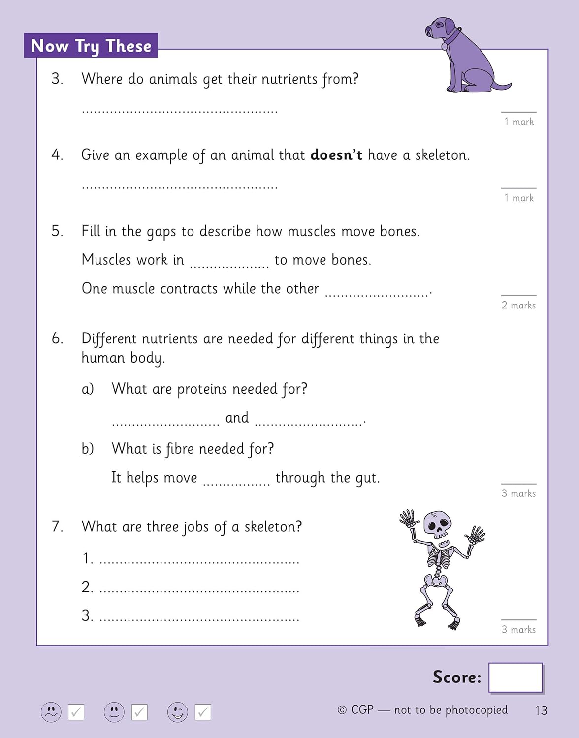 Science Knowledge Retriever - Year 3