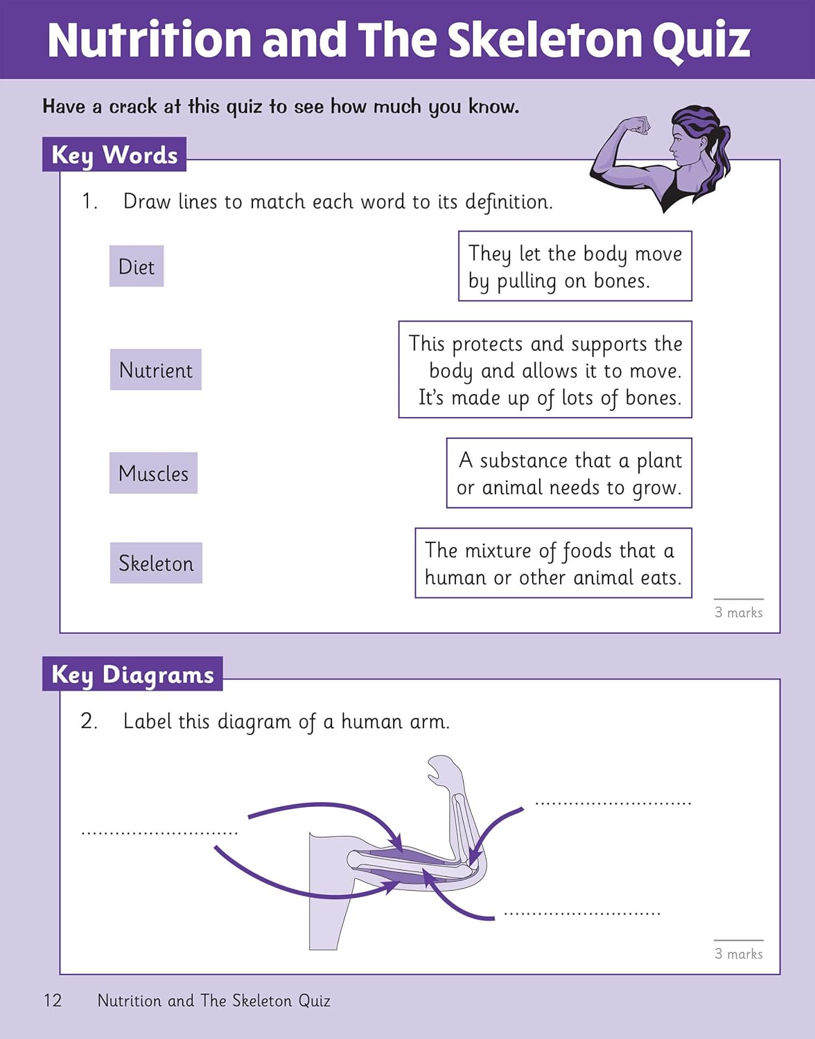 Science Knowledge Retriever - Year 3