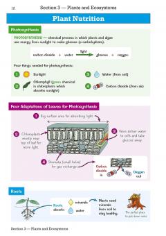 Knowledge Organiser Science Year 6 thumbnail