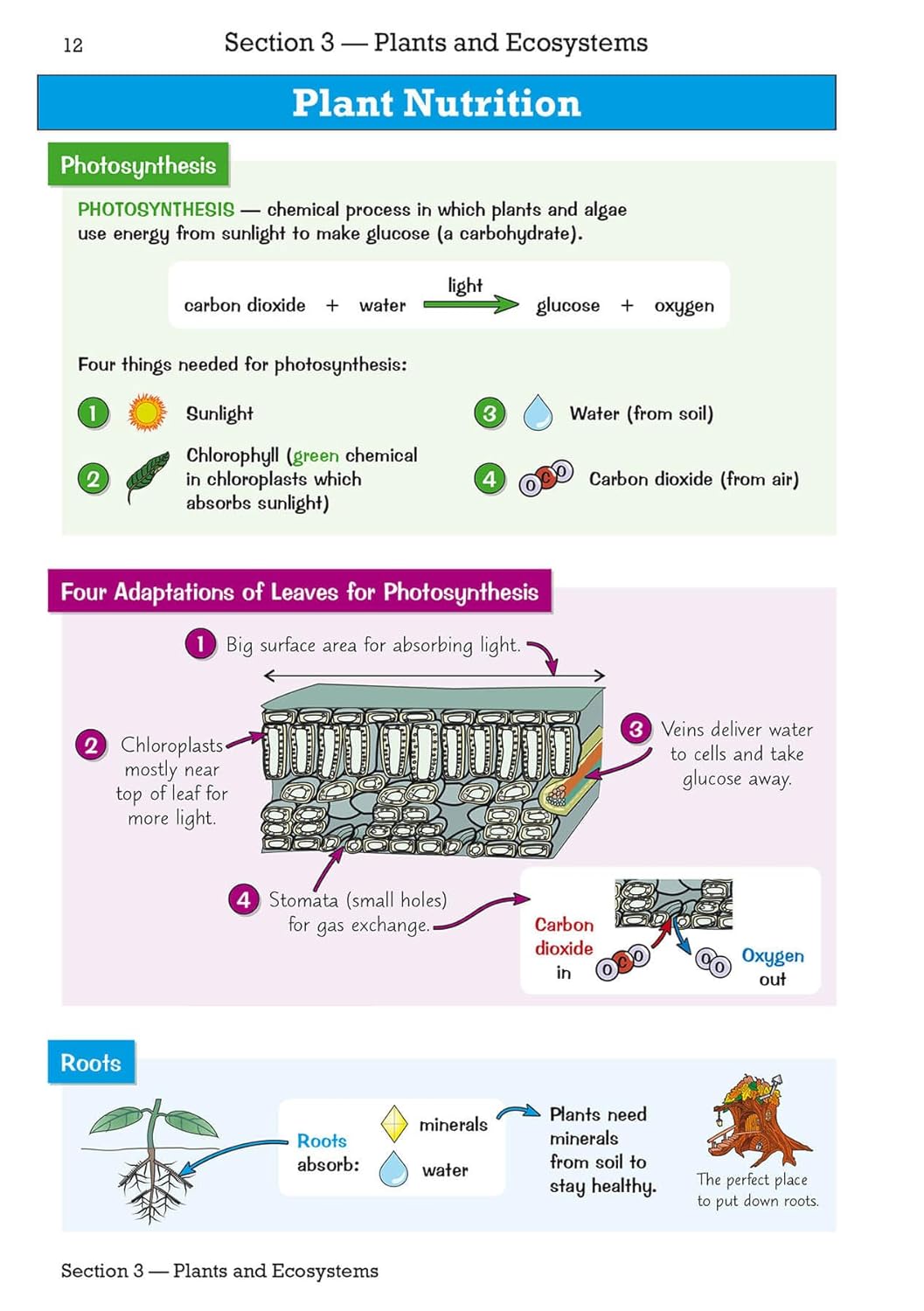 Knowledge Organiser Science Year 6