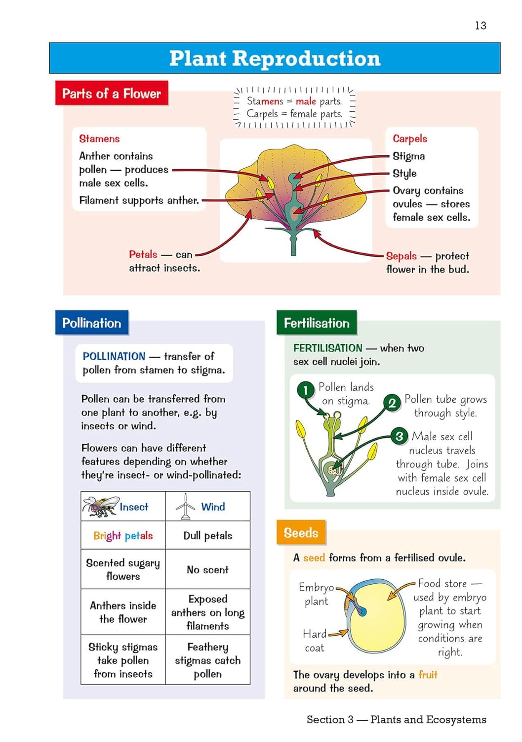 Knowledge Organiser Science Year 6