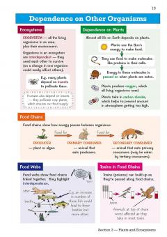 Knowledge Organiser Science Year 6 thumbnail